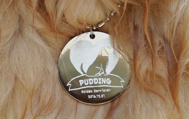 solution_애견인식표 Pet Tag Engraving